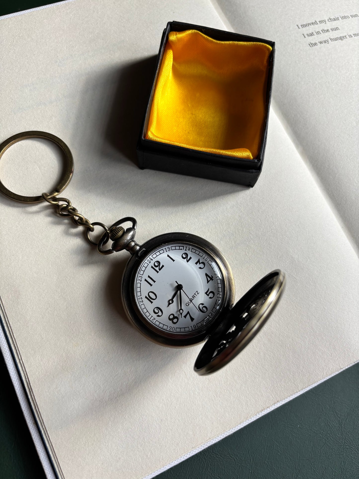Compass pocket watch