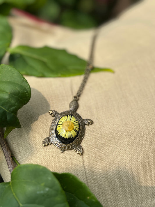 Turquoise Yellow Aster