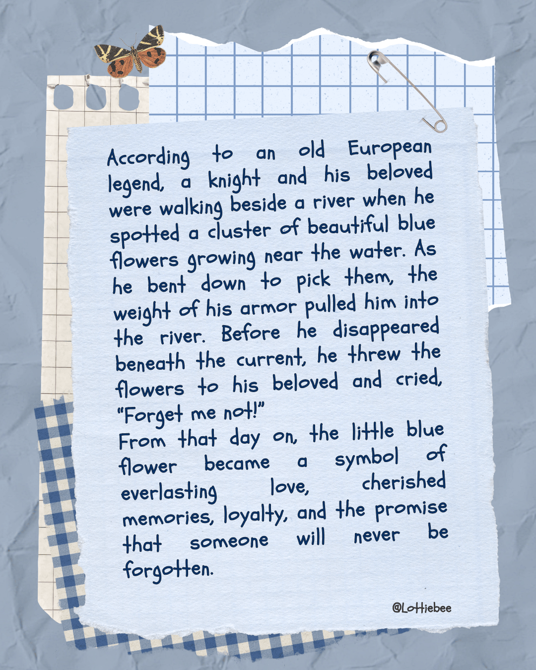 Forget Me Not Chain