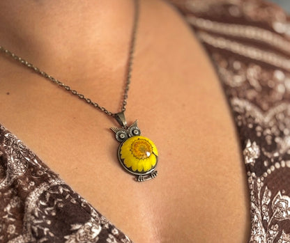 Bloom owl
