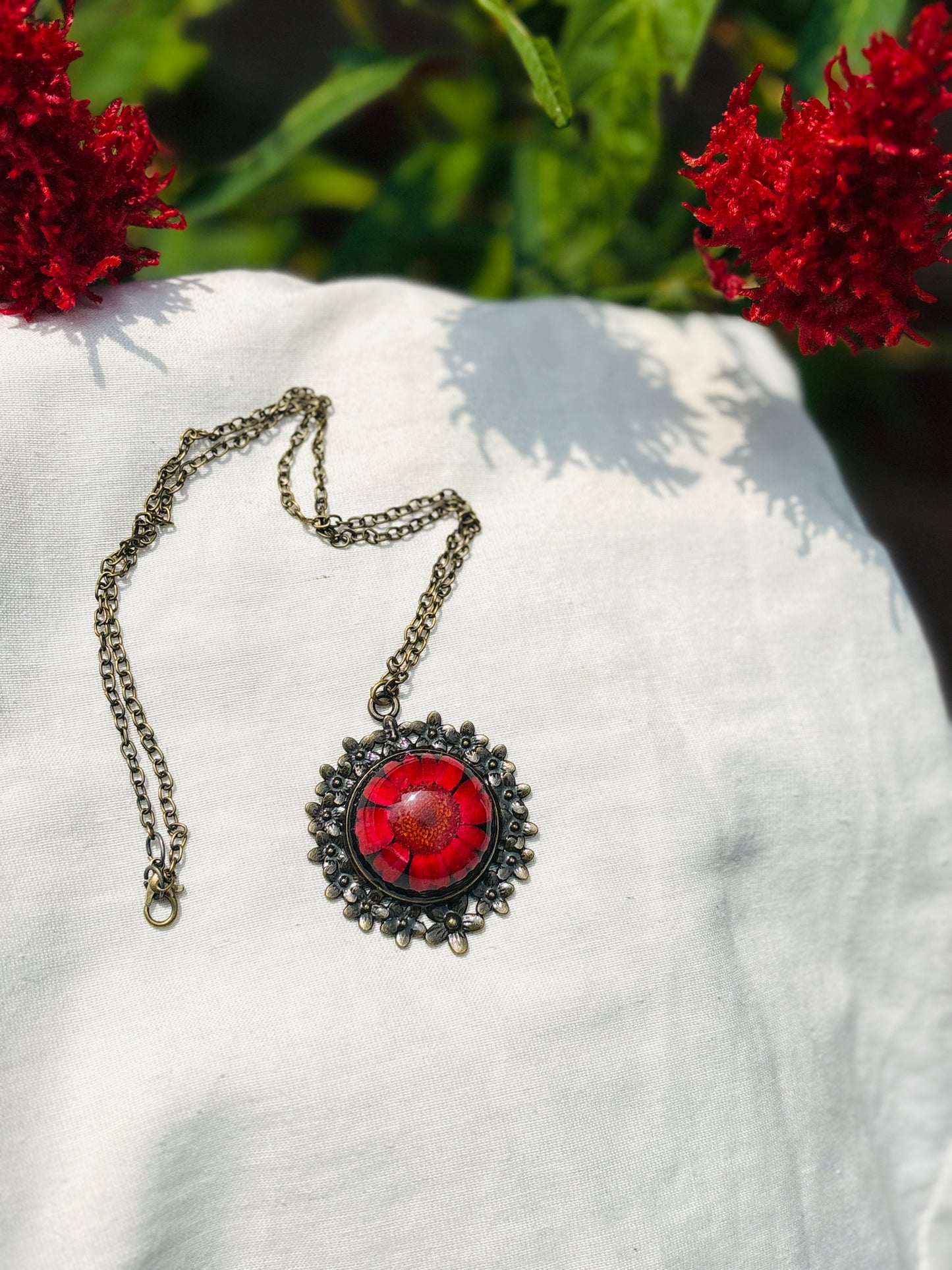 Red Daisy