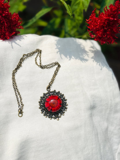 Red Daisy