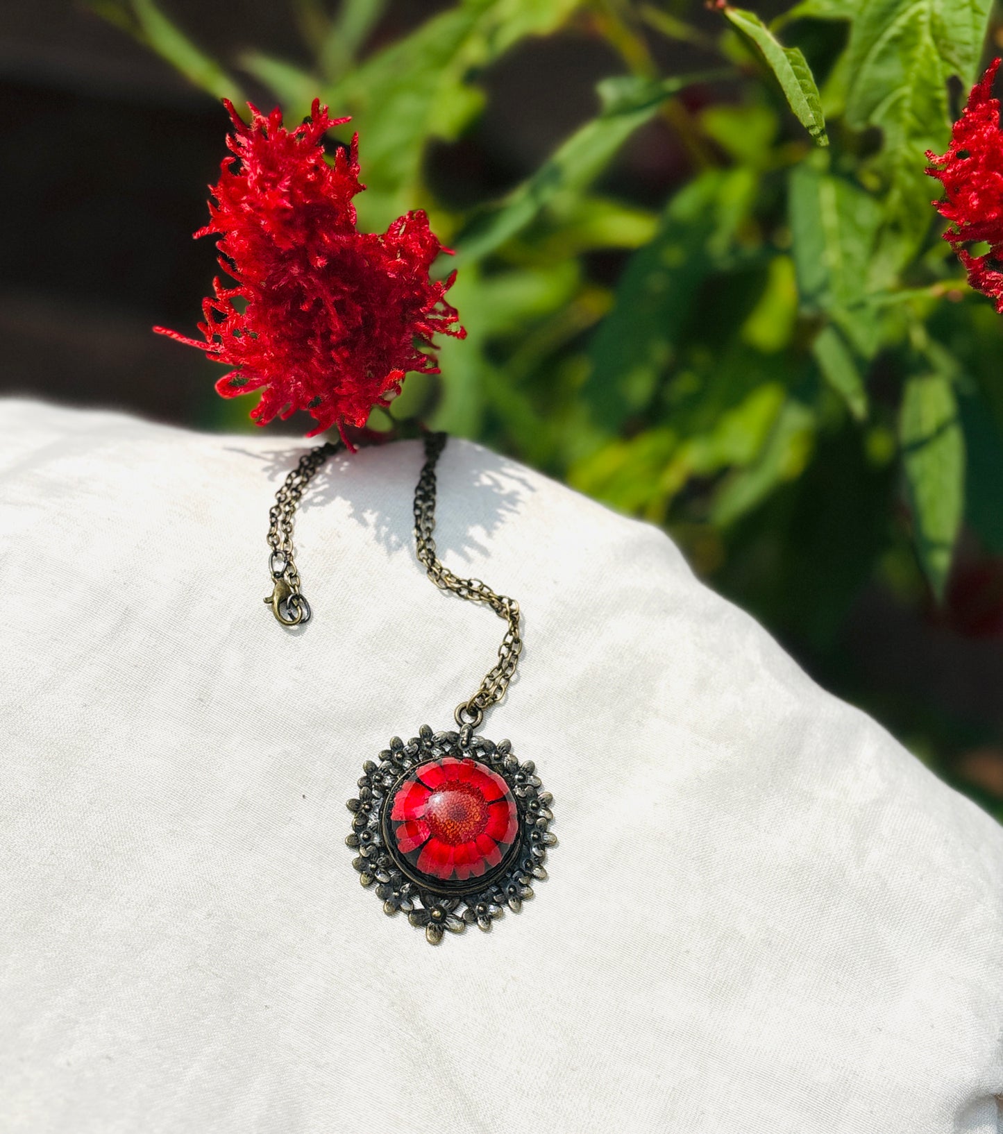 Red Daisy