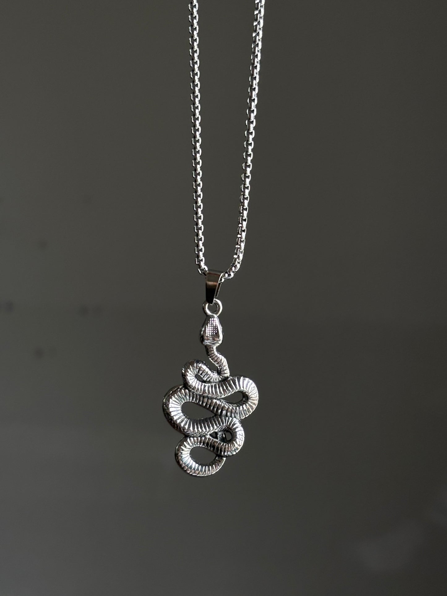 Snake pendant with Chain