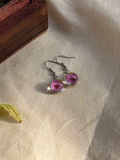 Purple Plum Real Flower Earrings