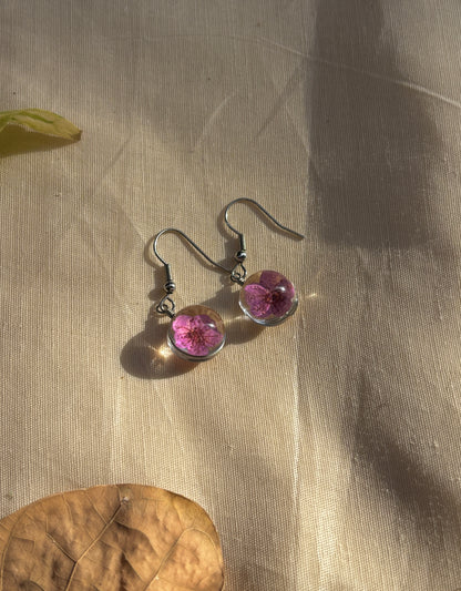 Purple Plum Real Flower Earrings