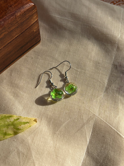 Green Plum Real Flower Earrings