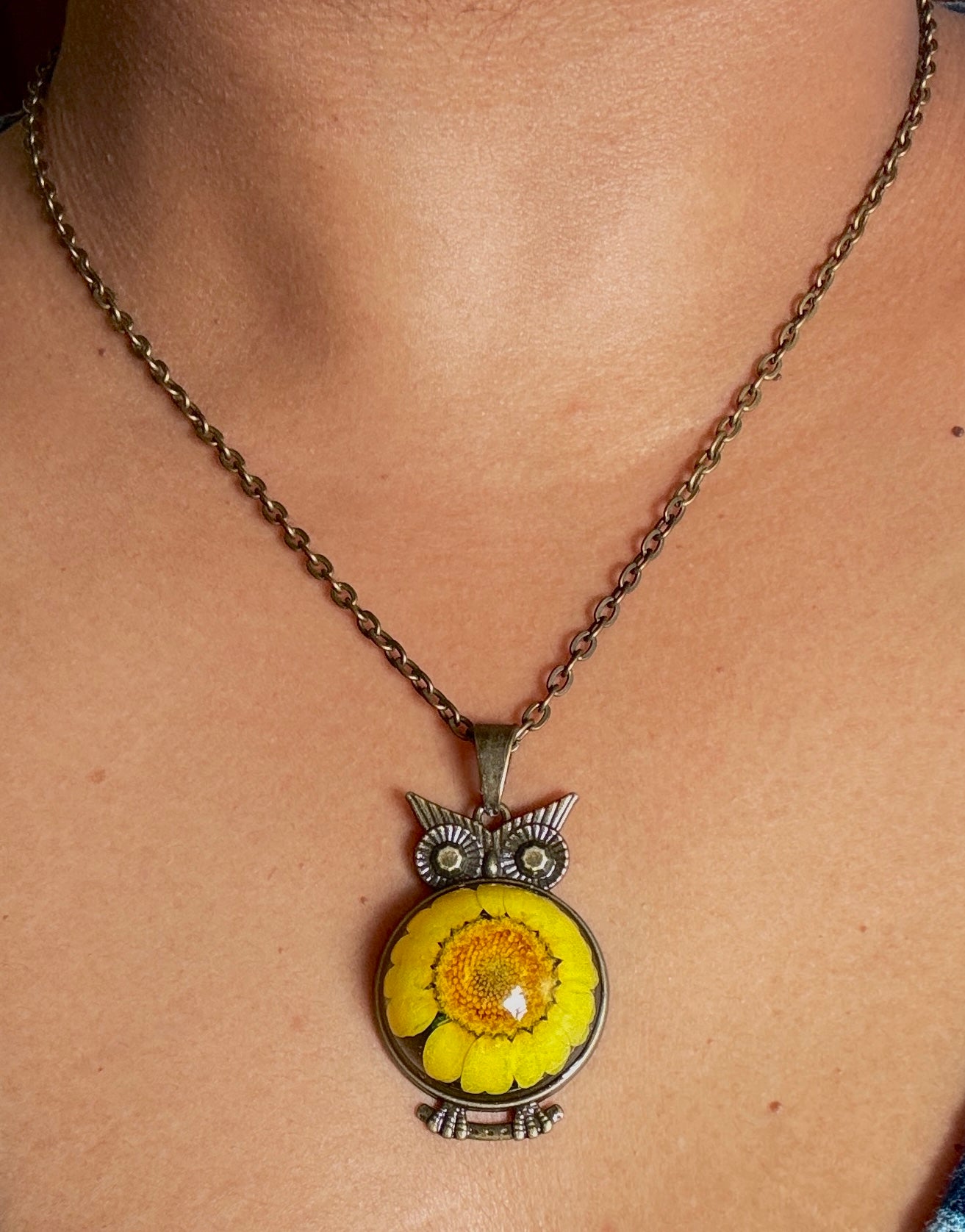 Bloom owl