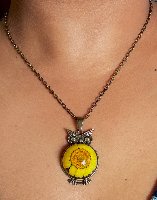 Bloom owl