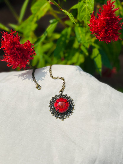 Red Daisy
